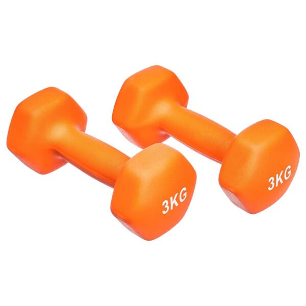 3KG Hex Neoprene Dumbbells