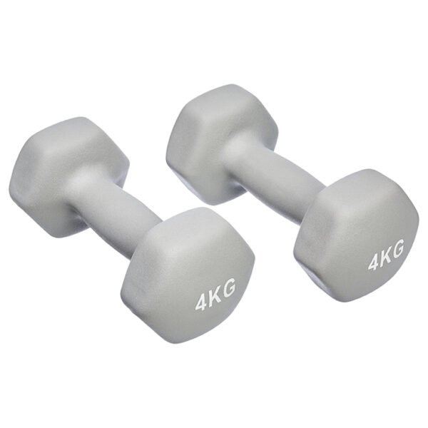 4KG Hex Neoprene Dumbbells